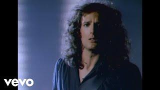 Michael Bolton - Fools Game