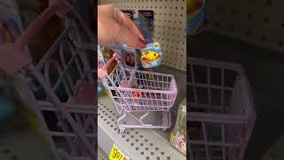 Mini Shopping At Walmart! #minishopping #minis #miniature