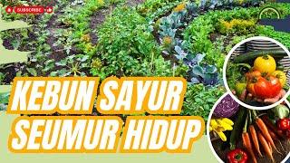 KONSEP SAYUR KELUARGA SEUMUR HIDUP  #bayudiningrat #pelatihanbsm B5