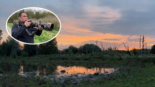 Natuurfotografie in de Broekpolder laat mensen opbloeien: ‘Hij had een vis onder zijn pootjes’