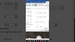 Resize image and maintain aspect ratio in Ms Word #shorts #msword