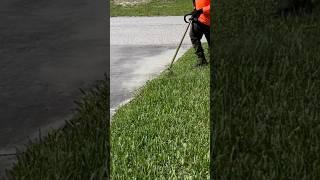 #lawncare  #satisfying  #shorts