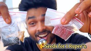 1 ரூபாய்ல காய்கறி விதைகள் தராங்களா? #seedsfor1rupee #thalir