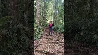 Pendakian Danau Gunung Tujuh - Ada yang bergelantungan? #mountains #pendaki #travelvlog #explore