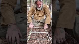 Bird Trap #survival #primitiveskills #bushcraft #caveman #donnydust #foodies #traps