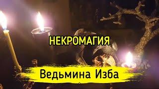 Прямой Эфир. НЕКРОМАГИЯ. ВЕДЬМИНА ИЗБА ▶️ МАГИЯ