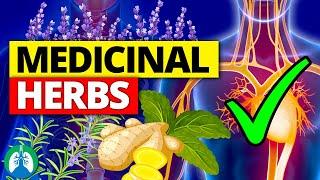Top 10 Most POWERFUL Medicinal Herbs (Backed by Science)