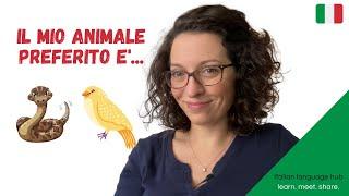 Learn Italian Vocabulary -  Italian pronunciation of 30+ animal names