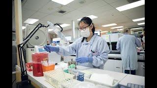 Explore a Career as a Medical Lab Technologist
