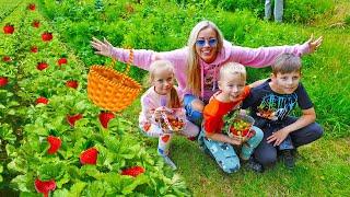 Strawberry Picking with Gaby and Alex Family