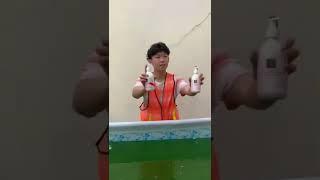 KOLAM SIRUP BASI!! BAU BANGET ADA JENTIK NYAMUK!! LUMUT