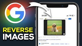 How to Use Google Reverse Image Search on iPhone - Easy Guide