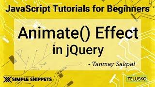 #42 JQuery Animate Effect