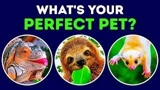 What Kind of Pet Matches Your Personality