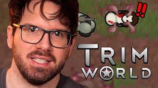 War's das? | (T)Rimworld