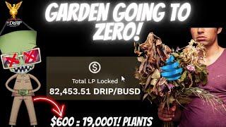 Drip Community Drip Garden update cost for first place