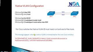 "What is a Native VLAN? Understanding VLAN Essentials"