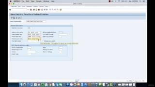 004 Creating a Sales Organization in SAP SD