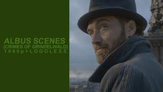 Albus Dumbledore Scenes (Crimes of Grindelwald) | Logoless 1080p