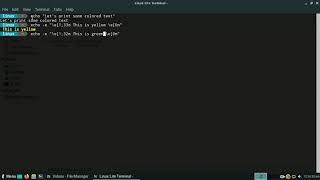 Print colored output in linux terminal