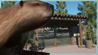 North American Beaver Habitat! | River Rock Zoo Remodel | Planet Zoo Slow Build [No Commentary]