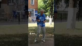 #shorts Кошки  -  Рыжие - Кормим сухим кормом.