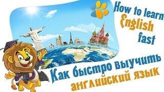 Как быстро выучить английский язык? LinguaLeo