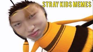 Stray kids memes