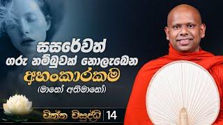 14) සසරේවත් ගරු නම්බුවක් නොලැබෙන අහංකාරකම... | චිත්ත විසුද්ධි | Venerable Welimada SaddaseelaThero