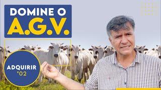 DOMINE O A.G.V E GANHE DINHEIRO COM O GADO PARTE 2