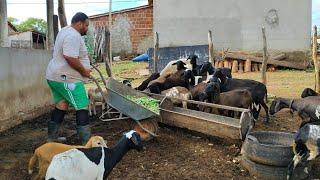 WASHINGTON SAMPAIO ALIMENTANDO SUAS OVELHAS E MUITA RESENHA COM OS CARA QUE CHEGOU.