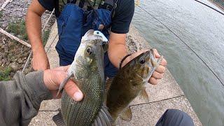 Ohio River Dam Multispecies Fishing