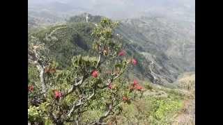 Khaptad: Best wilderness and spiritual tour in Nepal