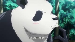 Panda getting zero explanation