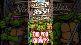  Teenage Mutant Ninja Turtles | Kids Network Studios  | iSMARTiDEAS | #shorts