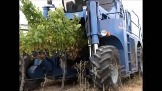 Oxbo Grape Harvesters and Vineyard Equipment