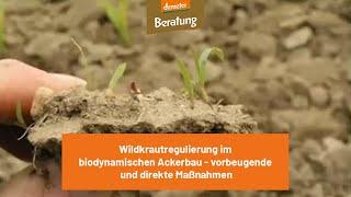 Wildkrautregulierung im biodynamischen Ackerbau - vorbeugende und direkte Maßnahmen