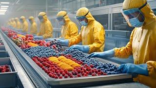 How Frozen Fruit is Made in Factory? | Captain Dicovery