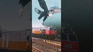 CC 2 06 1398 DI IKUTI BURUNG ELANG BESAR  #keretaapiindonesia