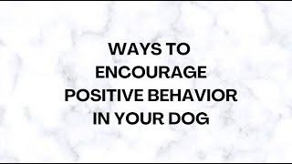 WAYS TO ENCOURAGE POSITIVE BEHAVIOR IN YOUR DOG