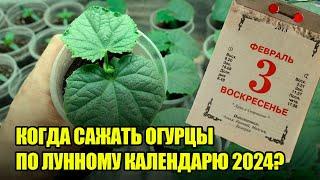 ЛУННЫЙ КАЛЕНДАРЬ 2024: Сей ОГУРЦЫ НА РАССАДУ В Эти Дни И Взойдет ВСЕ 100%