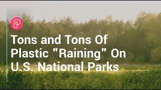 Plastic rain in national parks