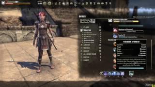 Basic Sorc Pet Build