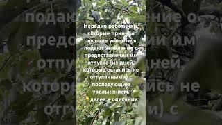  Нередко работники, которые приняли решение уволиться, подаютдалее в описании