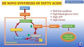 4: De Novo synthesis of Fatty acid | Lipid metabolism-4 | Biochemistry | N'JOY Biochemistry