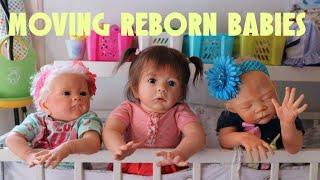 MOVING REBORN DOLLS - So cute! Animation