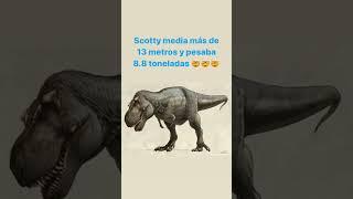 El T.Rex más grande descubierto  encontrar un fósil así sería increíble 