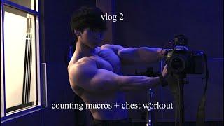 vlog 2 (counting macros + chest workout)