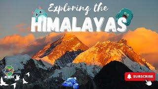 Exploring the Majestic Himalayas: Peaks, Culture, and Adventure