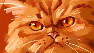 Feline Inspiration: Cat Videos for Artists & Animators